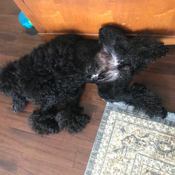 Meet your Posher, Amanda - Picture 1 of 1